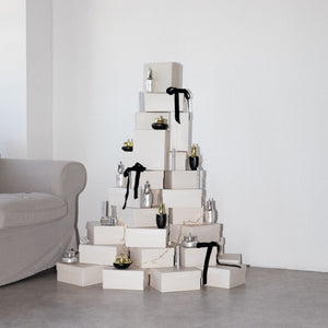 Darčekové balenie HAIRPLUS MAX